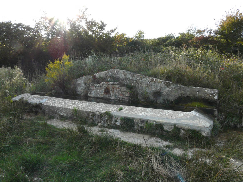 Fontanili della Toscana